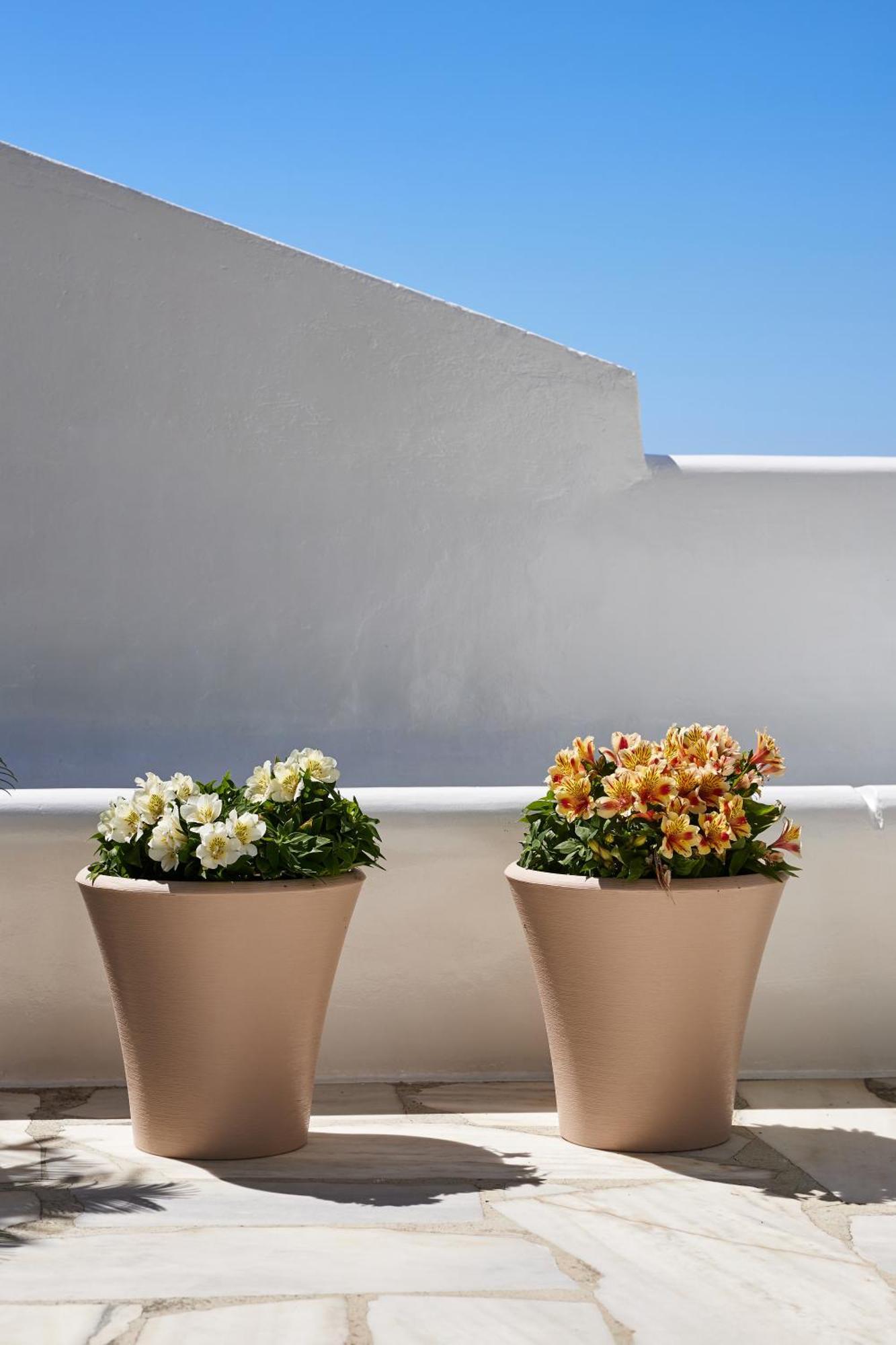 Sand Lily Villa Mykonos Mykonos Town Экстерьер фото